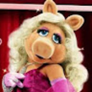 Meet your Posher, Faye